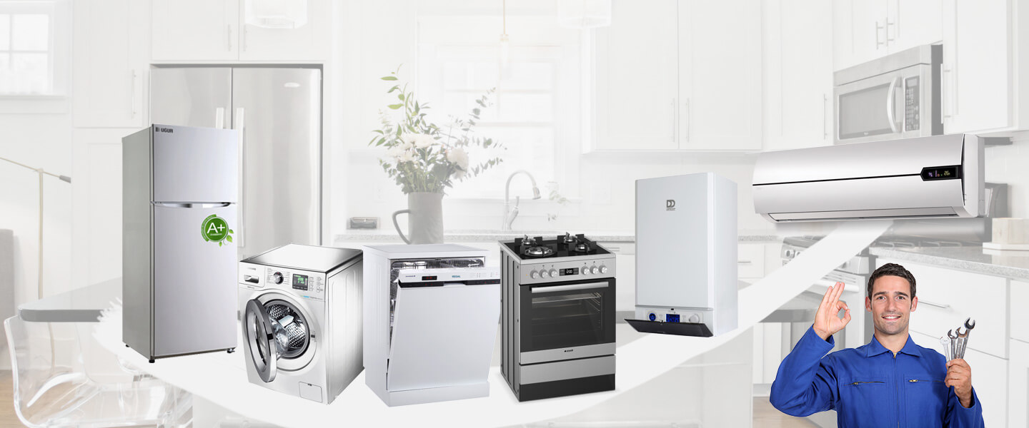 Bingöl Warmhaus Servisi